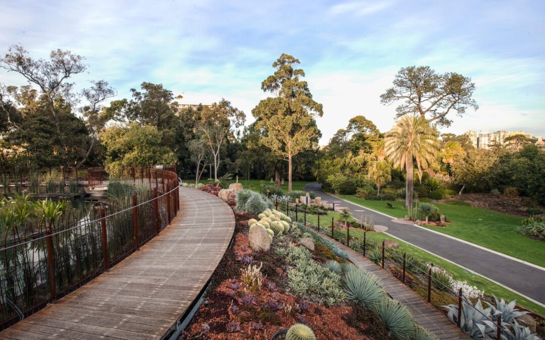 Royal Botanical Gardens: A Stunning Ceremony Location Melbourne